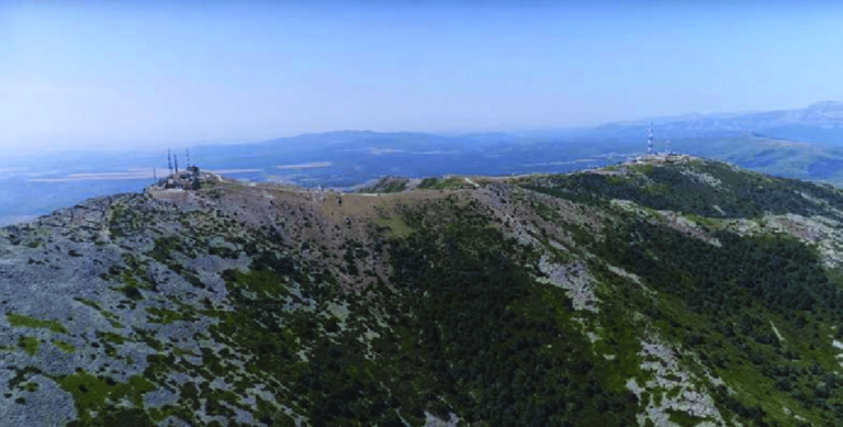 Alto Rey - La Casa de los Gatos