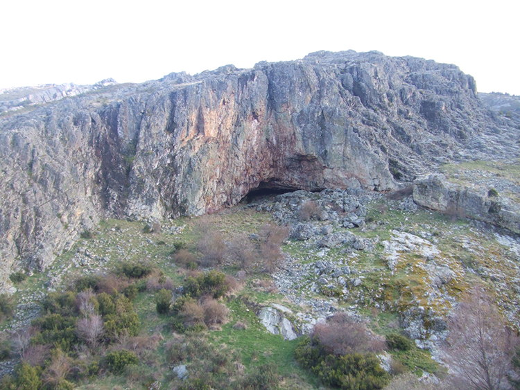 Cueva del oso